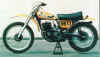 suzuki5001973.jpg (33629 tavu(a))